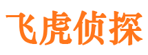 鲅鱼圈市侦探调查公司